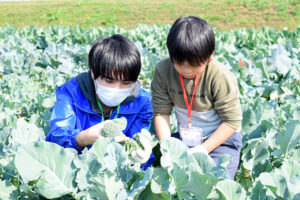 例年とは違う大変さも、参加者の笑顔で達成感に！『冬野菜収穫体験 in 稲美町』開催